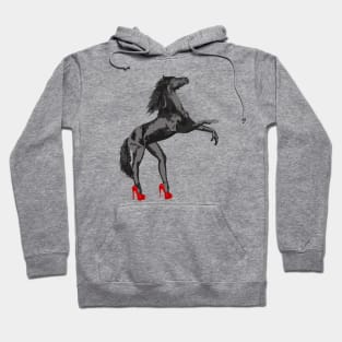 Centaur Hoodie